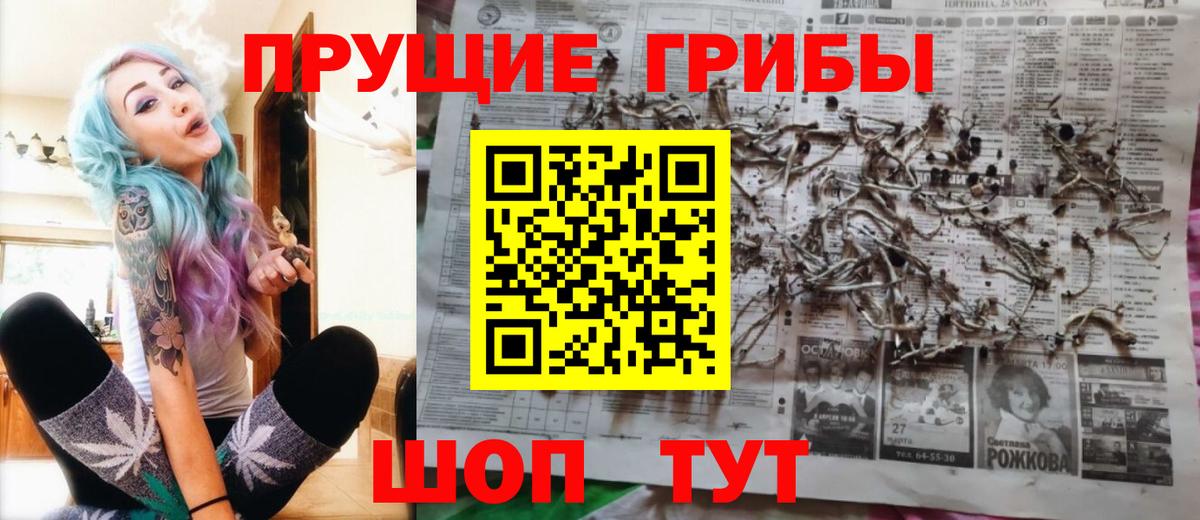 Галлюциногенные грибы Psilocybine cubensis Тихорецк